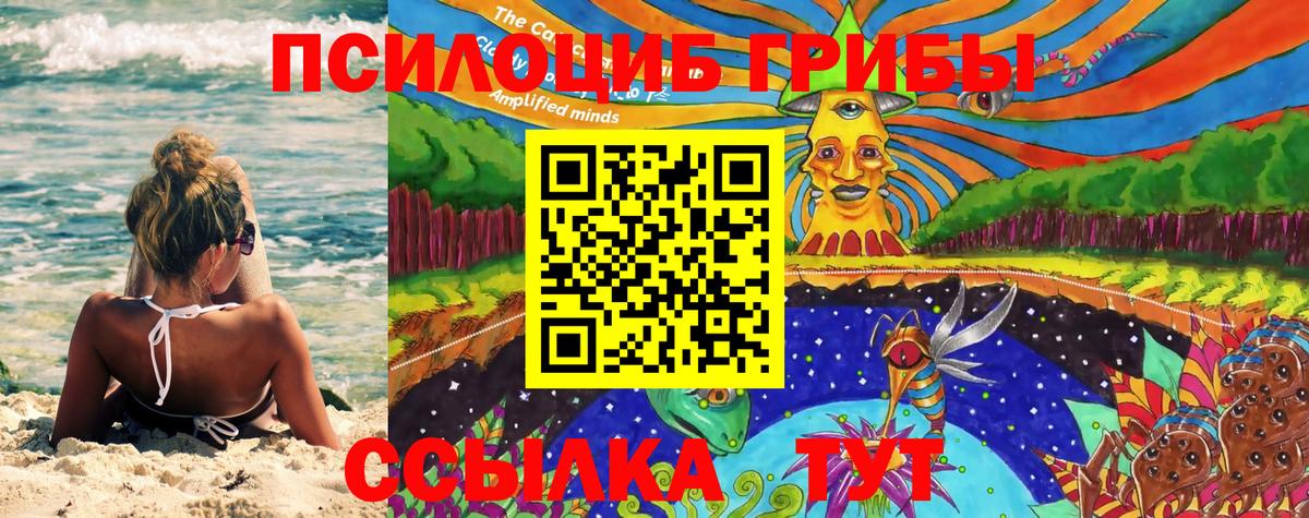 Северобайкальск  Псилоцибиновые грибы мицелий  Псилоцибиновые грибы мухоморы  Вход с VPN 