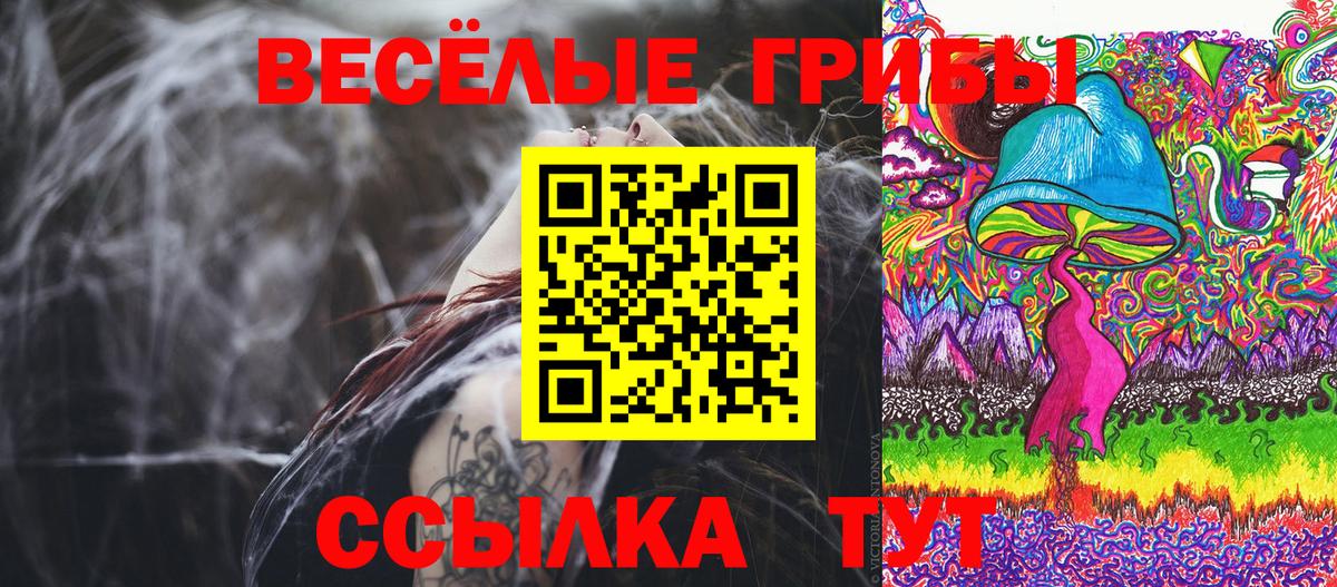 Галлюциногенные грибы GOLDEN TEACHER Северобайкальск